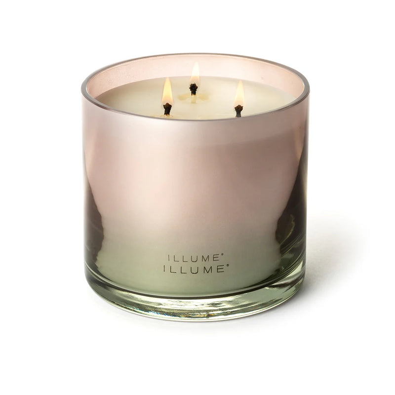 Illume Coconut Milk Mango Statement Glass Candle 3-wick