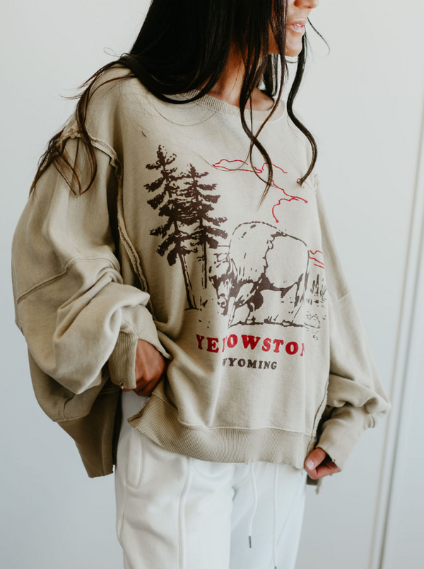 Free People We The Free Graphic Camden Pullover